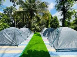 Wilder Horizon Camping