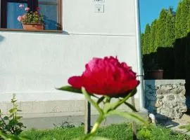 Kemencés Vendégház