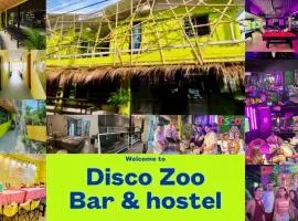 DISCO ZOO Bar & Hostel
