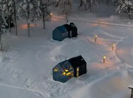 Njord Glass Cabin with Forest View
