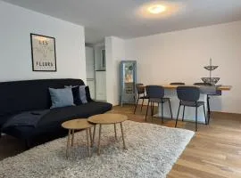 Großzügiges Apartment in Biberach an der Riss