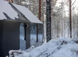 Odin Glass Cabin with Lake View