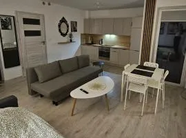 Apartament Studio Centrum