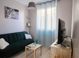 T2 Cozy Port La Seyne Clim et Comfort