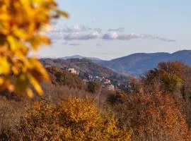 Alloggi agrituristici Paraschos
