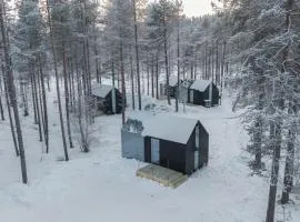 Eir Glass Cabin with Lake View