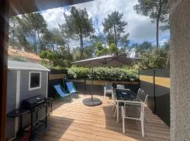 la pinede de St georges