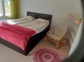 Two bedrooms in Grandmom house