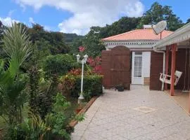 Studio charmant avec piscine privée à Rivière-Pilote 25 m²