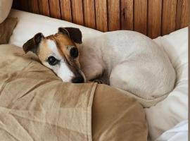 Hotel Termal Dolores, Hotel in Dolores