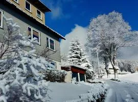 Ferienwohnung Wanne im Schwarzwald