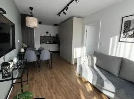Wygodny Apartament Piotrkowska Centrum