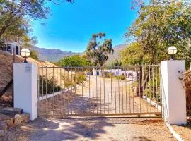 Into the Sunset Manor