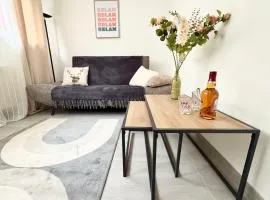 Spacious quiet apartment near Strasbourg