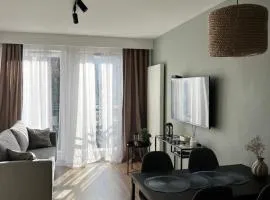 Przytulny Apartament w samym centrum