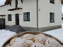 Casa Aida, хотел в Peşteana