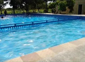 DIVINE Natural Resort