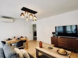 Appartement de charme au coeur d Avignon proche Palais des Papes