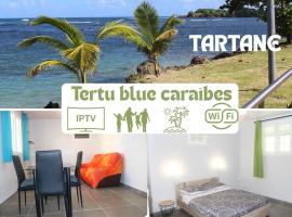 Tertu blue Caribbean house, hotel a Tartane