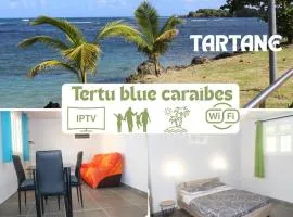 Tertu blue Caribbean house