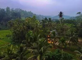 Rainforest Royal Heritage