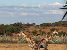 Bateleur Nature Reserve & Stamvrug Hiking Trails, מלון במודימול