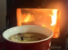 Drewniany dom w Borach Tucholskich "Twoja Ostoja"