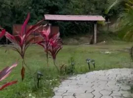 Green View Nature Glamping Cocorná