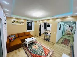 Luxury apartment VIENNA Airport Free PARKING