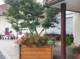 Darja Guesthouse