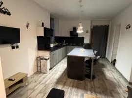 Appartement saint Rémy de maurienne