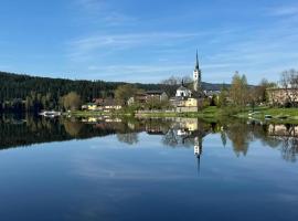 Forest Wellness & Spa Apartments Lipno - Frymburk, Hotel in Frymburk nad Vltavou