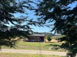 cabaña coihue lago panguipulli