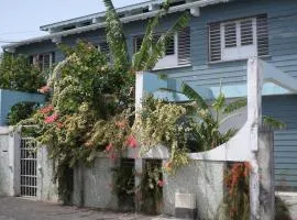 Tropical holidays at Frantz