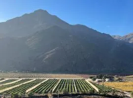 Elqui Valley Avocado Farm