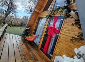 Carpatina A-Frame Retreat - Rustic Cabins for Couples, Hotel in Runcu