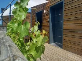 Collonges, éco-container PMR avec climatisation et parking privé - FR-1-828-13