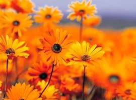 Hotel Delhi IGI Aiport