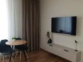 Евродвушка в центре