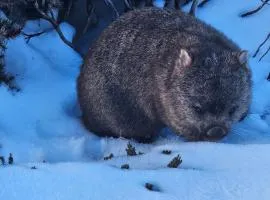 Cradle Alpine Retreat