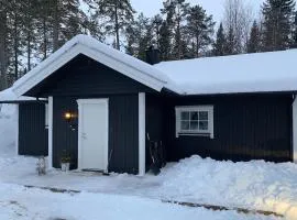 Cozy cabin in Ljørdalen
