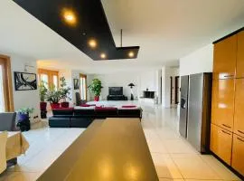 Magnifique T3 spacieux de 150 m carrés Vue Lac Léman