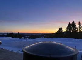 Mountain cabin in Lillehammer