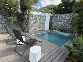 Stylish villa with private pool in Koolbaai