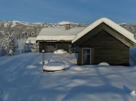 Moderne storhytte med 5 soverom og 3 bad, Hotel in Beitostøl
