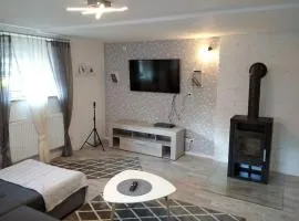 Schöne EG Wohnung mit Terrasse