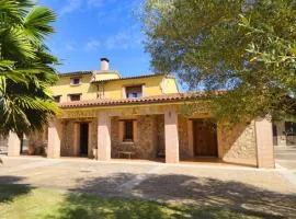 Los Olivos de Miróbriga