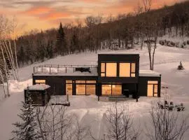 Ultra Luxurious Modern Oasis Private Spa Sauna