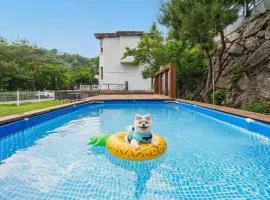 Gapyeong Daengdaengi Dog Pension Silver
