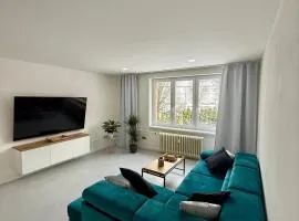 Apartment Pardubice Centrum
